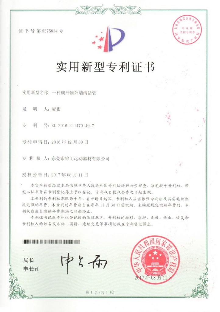 Patent Certificate 02